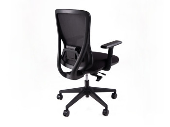 ErgoX 102 - Ergonomic Office Chair