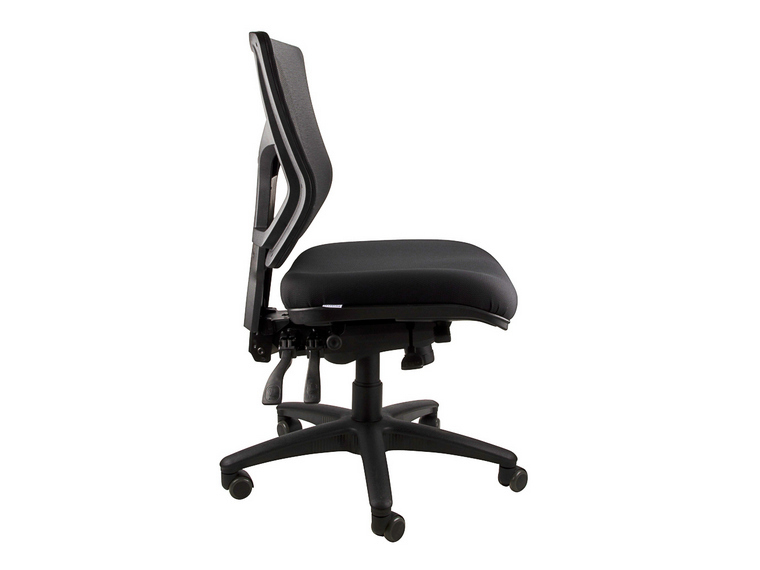 Anatome Savoy Mesh Ergonomic Office Chair 