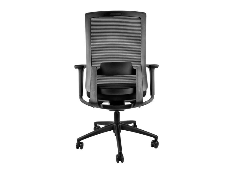 ErgoX Como Mesh Ergonomic Office Chair 