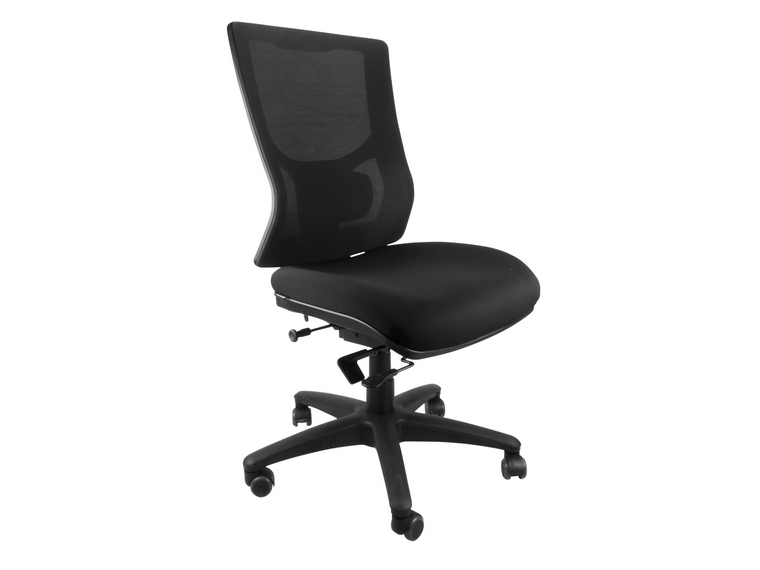 ErgoX Savoy Mesh Ergonomic Office Chair 